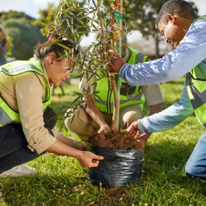 도시 녹지 개선을 위한 나무심기 환경 캠페인 참여 이미지