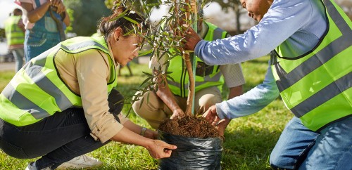 도시 녹지 개선을 위한 나무심기 환경 캠페인 참여 이미지