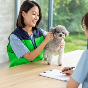 유기 동물 보호소에서 반려동물 돌봄 봉사활동 이미지