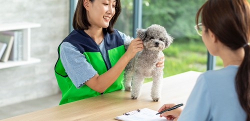 유기 동물 보호소에서 반려동물 돌봄 봉사활동 이미지