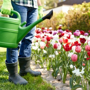 주민들과 함께 작은 마을 정원을 조성하는 프로젝트 이미지
