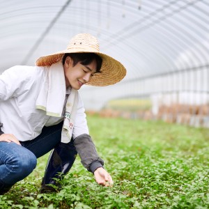 농촌 일손 돕기 봉사활동으로 지역 농가를 지원 이미지