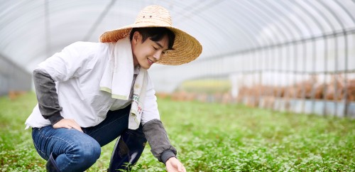 농촌 일손 돕기 봉사활동으로 지역 농가를 지원 이미지
